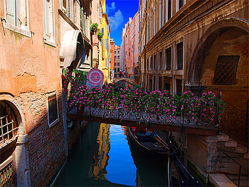 Venezia, bridge, italia, flowers HD wallpaper