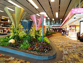 Singapore Changi International Airport, Thousand Wonders HD wallpaper