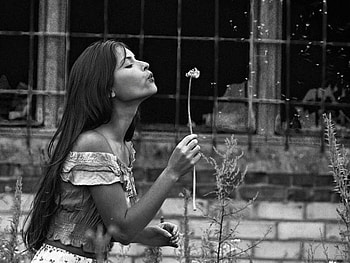 ~Sweet Kisses~, sweet, graphy, dandelion, bw, girl, beautiful, woman, kisses, black and white, kiss HD wallpaper