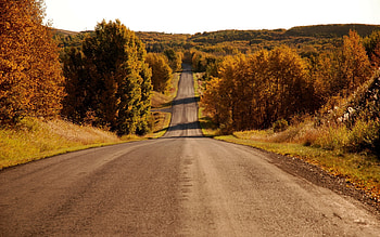 Landscape, Roads, Autumn HD wallpaper