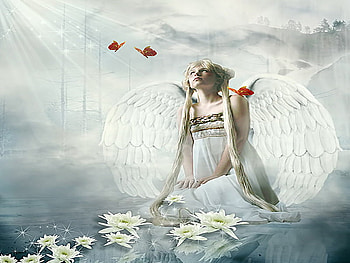 Heaven, angel, butterfly, lotus HD wallpaper
