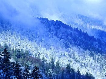 Journey through America: Tennesse, nature, tennesse, america, mountains, beauty HD wallpaper