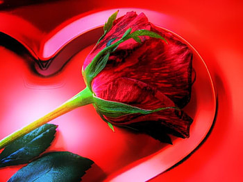 Happy Valentine, rose, valentine, heart, red HD wallpaper