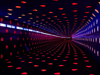 Tunnel Of Love, Valentine, tunnel, Valentines Day, windows, love, Valentines, hearts HD wallpaper