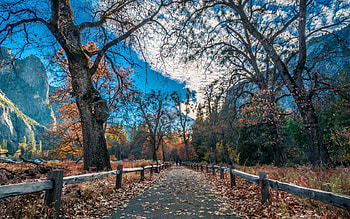 Nature, Mountains, Autumn, Road, Fence, Foliage HD wallpaper