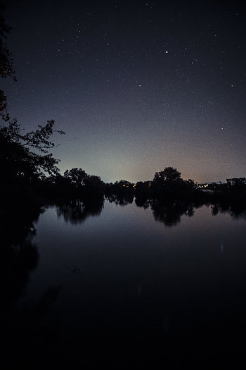Landscape, Nature, Trees, Night, Horizon, Lake, Starry Sky HD phone wallpaper