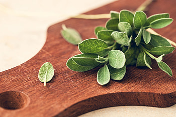 Sage herb, Cooking with fresh sage, Best sage recipes, Life at the table HD wallpaper