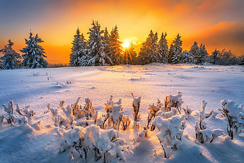 Winter sunrise, golden, winter, rays, beautiful, mountain, sunrise, fiery, snow, sun, sunset HD wallpaper