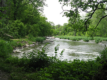 Sioux Falls State Park, South Dakota, falls, river, dakota, plants, south, park, leaves, state, green, trees, nature, sky, water, sioux, forest HD wallpaper