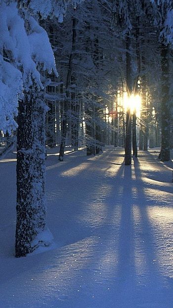 Romantic, snowy land beautiful, snowy land, beautiful HD phone wallpaper