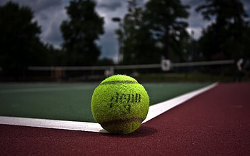 Tennis ball, Sports, , Background HD wallpaper
