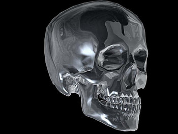 glass skull, horror, abstract HD wallpaper