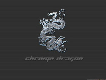 silver dragon, gray, white HD wallpaper