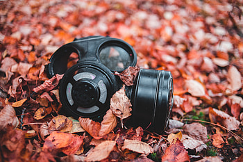 Autumn, Miscellanea, Miscellaneous, Foliage, Fallen, Respirator HD wallpaper