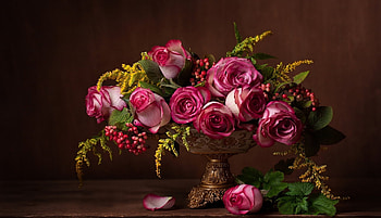 Still Life, Flower, Vase, pretty HD wallpaper
