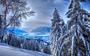 Winter Splendor, trees, sky, mountains, snow HD wallpaper