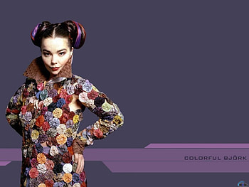 Bjork, folk, classical, alternate rock, singer, jazz, actress, writer, pop, producer, electronic, composer HD wallpaper