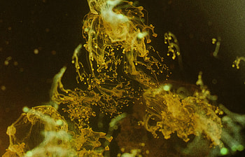 Macro, Spray, Liquid HD wallpaper