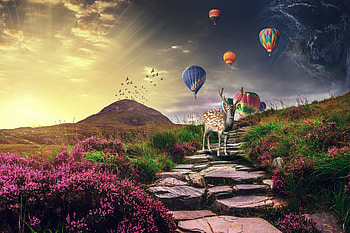 Animals, Balloons, hop, Deer HD wallpaper