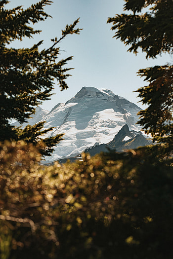 Nature, Sky, Mountains, Snow, Vertex, Branches, Tops HD phone wallpaper