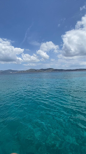 Swimming, Snorkeling, Sea Turtles, Video HD phone wallpaper