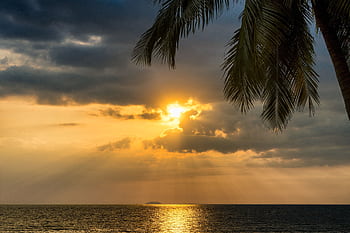 Breathtaking tropical sunset over the ocean with silhouetted palm trees, perfect for vacation themes. HD wallpaper