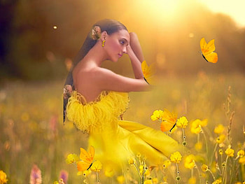 Sunny Yellow4, girl, colorful, sunshine, wild flowers, black, vibrant, butterflies, vivid, field, yellow, bright, bold HD wallpaper