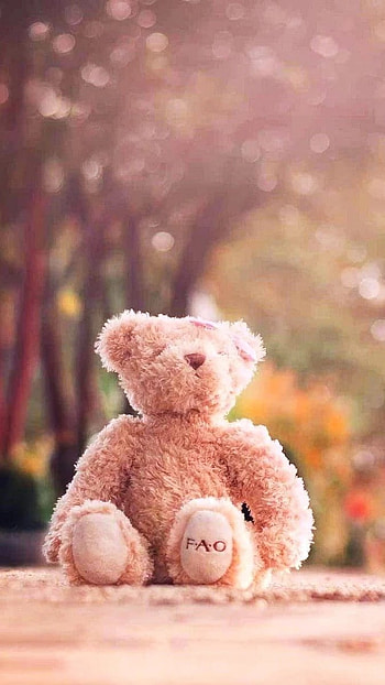 Teddy Bear Ke, Pink, Nature HD phone wallpaper