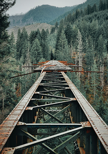 Trees, Mountains, Miscellanea, Miscellaneous, Forest, Bridge, Iron HD phone wallpaper