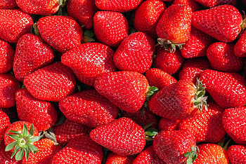 Food, Strawberry, Berry, Fruit HD wallpaper