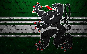 Flag of East Flanders, honeycomb art, East Flanders hexagons flag, East Flanders 3d hexagons art, East Flanders flag HD wallpaper
