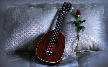 KALA KA-P Soprano, Ukulele HD wallpaper
