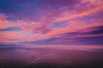 Nature, Sky, Sea, Twilight, Bird, Dusk, Handsomely, It's Beautiful HD wallpaper