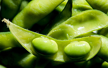 Edamame schote, Nicht essbar HD wallpaper