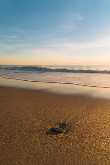 Nature, Sea, Waves, Beach, Sand, Rock, Stone HD phone wallpaper