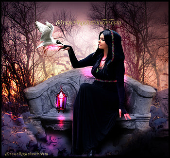 Aurorerose, lady, black, bird, fantasy HD wallpaper