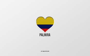 I Love Palmira, Colombian cities, Day of Palmira, gray background, Palmira, Colombia, Colombian flag heart, favorite cities, Love Palmira HD wallpaper