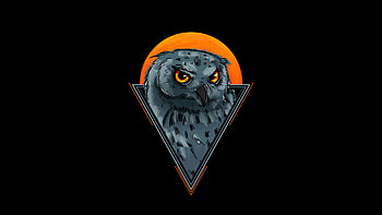 Owl Minimal , owl, minimalism, minimalist, artist, artwork, digital-art, dark, black HD wallpaper