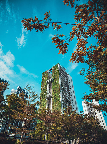 Cities, Trees, Architecture, City, Building, Modern, Up To Date, Ecology HD phone wallpaper