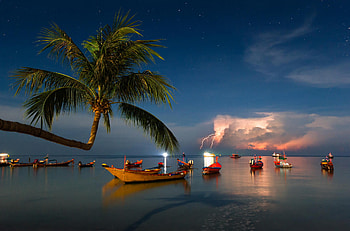 Sea, tree, boat, night, Thailand sky, Palm, Evening on Koh Tao HD wallpaper
