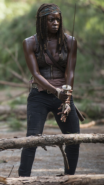 TV show, The Walking Dead HD phone wallpaper