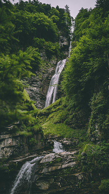 Nature, Trees, Rock, Forest, Greens, Stone, Creek, Brook HD phone wallpaper