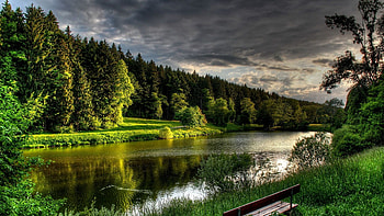 Nature, Rivers, Trees, Summer, Bench HD wallpaper