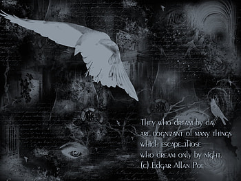 Poe, gothic, white, quotes, black, mystery, grey, dark, poet, poem HD wallpaper