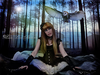 owl_be_there_always, anime, bird, fantasy, landscape, trees, sky, girl, forest HD wallpaper