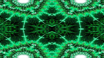Trippy Fractal Art, trippy, psychedelic, aesthetic, green, Abstract, fractal, abstract green HD wallpaper