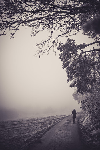 Nature, Miscellanea, Miscellaneous, Fog, Human, Person, Loneliness HD phone wallpaper