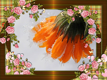 FLOWER IN THE SNOW, ART, FLOWER, FRAMED HD wallpaper
