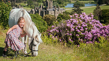 Smiling Cute Little Girl Is Standing Near White Horse On Grass Wearing Colorful Flowers Printed Dress Cute HD wallpaper