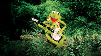 The Muppet Show, Kermit the Frog HD wallpaper